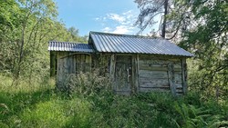 Heggerusti