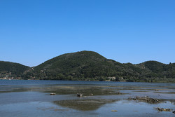 Rouda