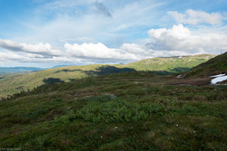 Storknobben