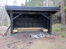 Tjørnahuk