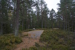 Slettfjellet