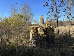 Riksrøys 66