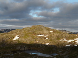 Svultanuten