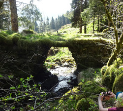 Grytebakkbrua
