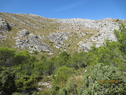 Puig de sa Font