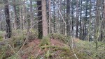 Stølsåsen