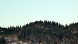 Båsmyrhaugen