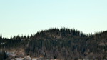 Båsmyrhaugen