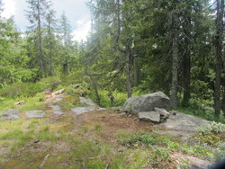 Skinnskattberget