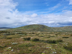 Austre Breitjønnshøgda