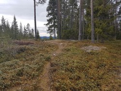 Vermundsberget