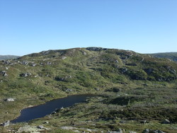 Verehovudet