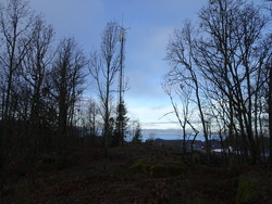 Nordlibakken