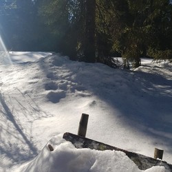 Fossvangen
