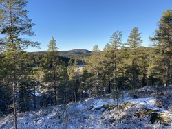 Nybrenna