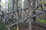 Borgåsen