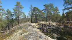 Kastenatten