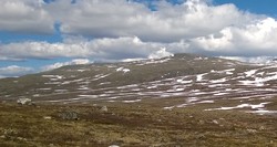Veslkjølen