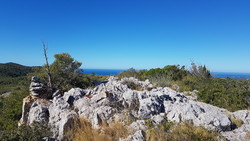 La Fita Grossa