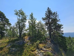 Svarttjernhaugen
