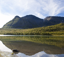 Skognestinden