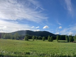 Buråskollen