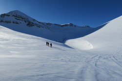 Presthnjúkur