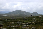 Geitebuhovde