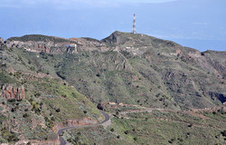 Tagamiche