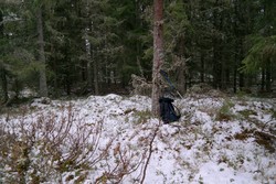 Kjølstadberget