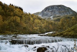 Magnhildenuten