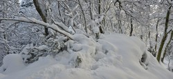 Søyleåsen