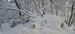 Søyleåsen