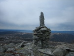 Blådalsnipa