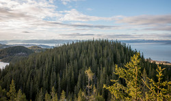 Storkongensåsen