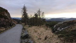 Lundekvam (tuft)