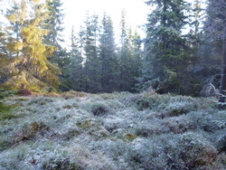 Rompoberget