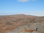 Ulvarudlå