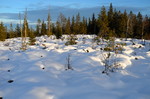 Heberget Øst