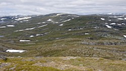 Sledalsrusti