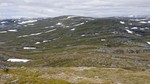 Sledalsrusti