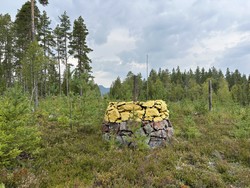 Riksrøys 99 A