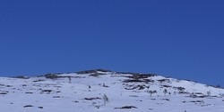 Søtdalsnatten