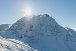 Hovsnebba