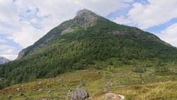 Skyttarpiggen
