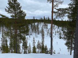 Øst3 for Myrbakken