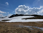 Skuggliberga
