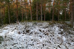 Sør for Aukeåsen