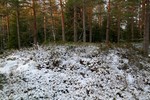 Sør for Aukeåsen