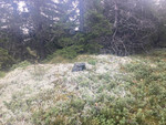 Honerudsæterhøgda